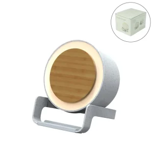 Speaker with Wireless Charging