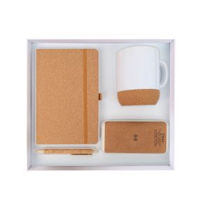 GS044 - All Cork Corporate Gift Box