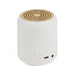 Bluetooth Speakers v5.1