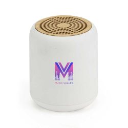 Bluetooth Speakers v5.1