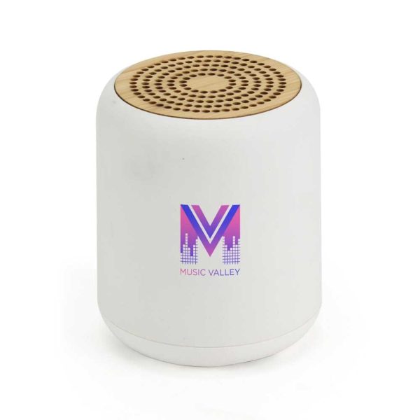 Bluetooth Speakers v5.1