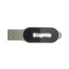Oval Light-Up Logo USB | 16GB Logo USB Flash