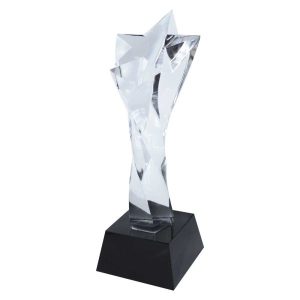 Branded Star Crystal Trophy