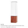 Cuboid-Shape-Crystal-Awards-with-Wooden-Base-CR-59-600x600-1.jpg Cuboid Shaped Crystal Awards with Wooden Base