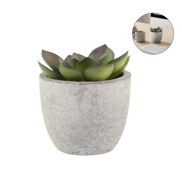 MSSP-9223-CAMAS-Artificial-Succulent-Plant-in-Pulp-Potunique2d4b5a6 CAMAS - Artificial Succulent Plant in Pulp Pot