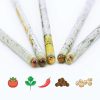 Plant A Pencil Kit