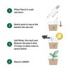 Plant A Pencil Kit