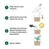 Plant A Pencil Kit