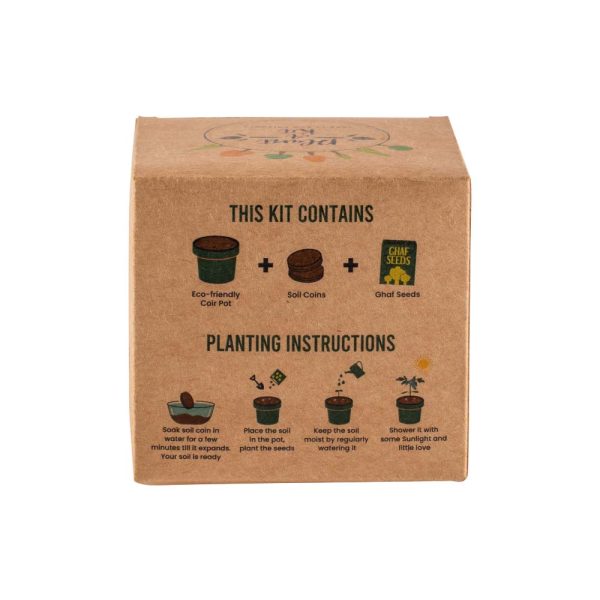 Plantable-Kit-with-GHAF-Seeds-SPS-06-with-Box-600x600-1.jpg Plantable Kit with GHAF Seeds in Kraft Box