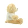 UAE Day Teddy Bear Toys with Printable White Tshirt