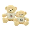 UAE Day Teddy Bear Toys with Printable White Tshirt