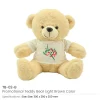 UAE Day Teddy Bear Toys with Printable White Tshirt