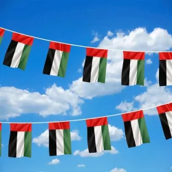 UAE String Flags and Flag Bunting 32Pcs