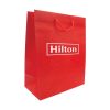 Promotional Bag