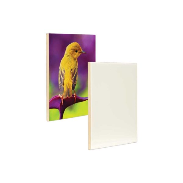 Ceramic Printed Tile